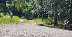 Carrillo Propiedades Vende Excelente Campo en Curacautín