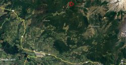 Carrillo Propiedades Vende Excelente Campo en Curacautín
