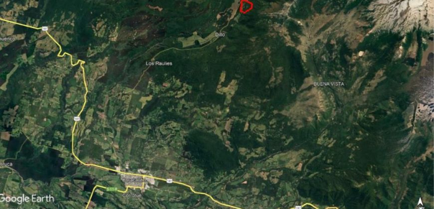 Carrillo Propiedades Vende Excelente Campo en Curacautín
