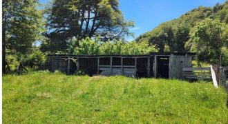 Carrillo Propiedades Vende Excelente Campo en Curacautín