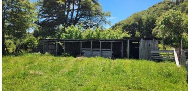Carrillo Propiedades Vende Excelente Campo en Curacautín