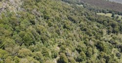 Carrillo Propiedades Vende Excelente Campo en Curacautín