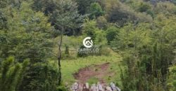 Carrillo Propiedades Vende Excelente Campo en Curacautín