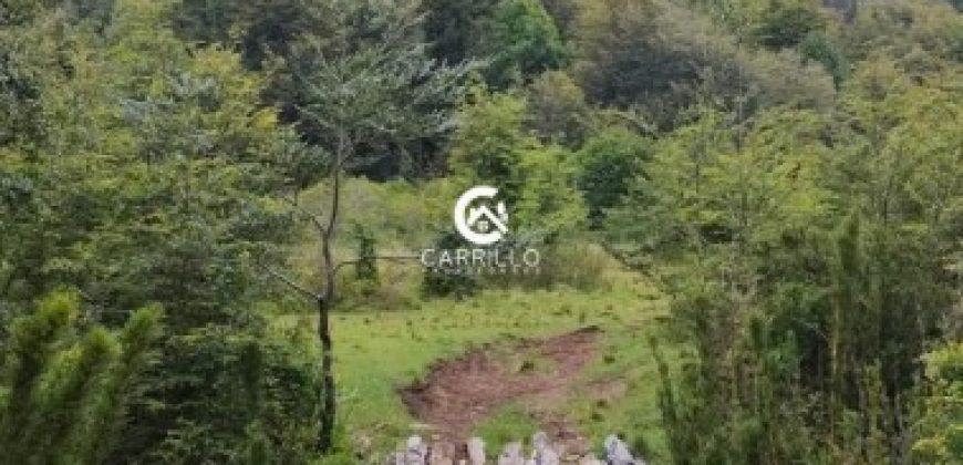 Carrillo Propiedades Vende Excelente Campo en Curacautín