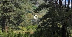 Carrillo Propiedades Vende Excelente Campo en Curacautín