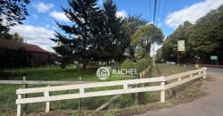 SE VENDE LINDA PARCELA CAMINO CHOL-CHOL – Condominio Los Álamos