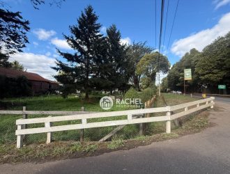 SE VENDE LINDA PARCELA CAMINO CHOL-CHOL – Condominio Los Álamos