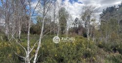 SE VENDE LINDA PARCELA CAMINO CHOL-CHOL – Condominio Los Álamos