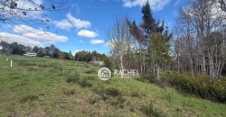 SE VENDE LINDA PARCELA CAMINO CHOL-CHOL – Condominio Los Álamos