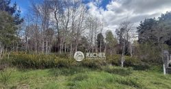 SE VENDE LINDA PARCELA CAMINO CHOL-CHOL – Condominio Los Álamos