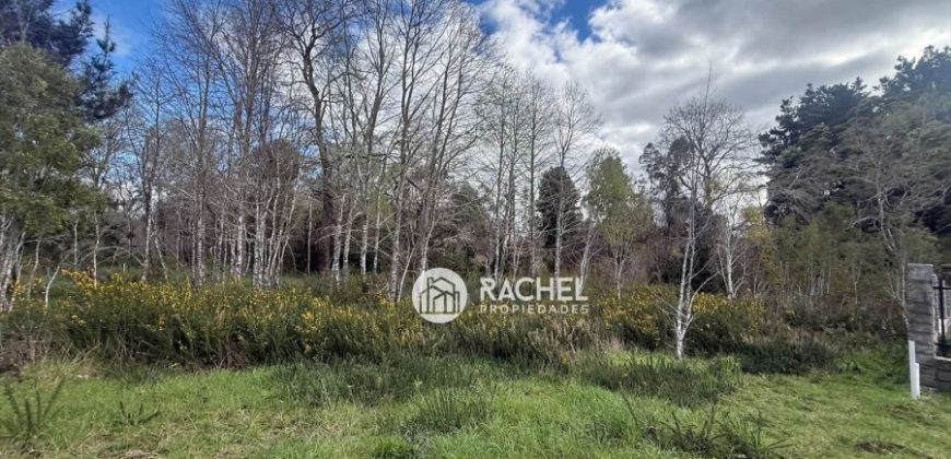 SE VENDE LINDA PARCELA CAMINO CHOL-CHOL – Condominio Los Álamos