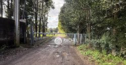 SE VENDE LINDA PARCELA CAMINO CHOL-CHOL – Condominio Los Álamos
