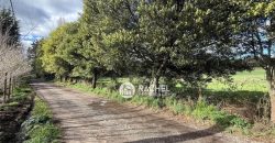 SE VENDE LINDA PARCELA CAMINO CHOL-CHOL – Condominio Los Álamos