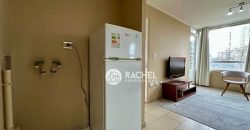 SE ARRIENDA DEPTO DE 1 DORMITORIO AMOBLADO- Sector Avda Alemania