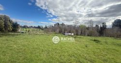 SE VENDE LINDA PARCELA CAMINO CHOL-CHOL – Condominio Los Álamos