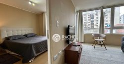 SE ARRIENDA DEPTO DE 1 DORMITORIO AMOBLADO- Sector Avda Alemania