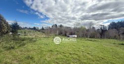 SE VENDE LINDA PARCELA CAMINO CHOL-CHOL – Condominio Los Álamos