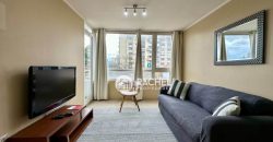 SE ARRIENDA DEPTO DE 1 DORMITORIO AMOBLADO- Sector Avda Alemania