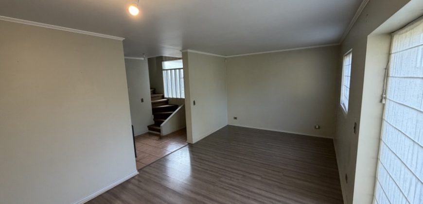 El Mirador 02563