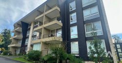 Departamento de 2 dormitorios en venta en Pucón.