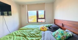Departamento en venta en Pucón, con vista al volcán