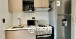 Arriendo Departamento Estudio Seminuevo Amoblado