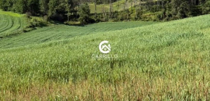 Vendemos Excelente Campo Sector Niagara