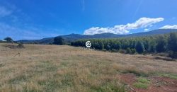Vendemos Parcela de 9000 Mts en Pumalal