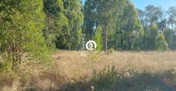 Vendemos Parcela En Freire sector Coipue