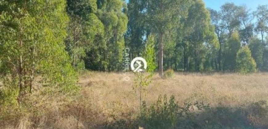 Vendemos Parcela En Freire sector Coipue