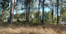 Vendemos Parcela En Freire sector Coipue