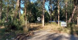 Vendemos Parcela En Freire sector Coipue